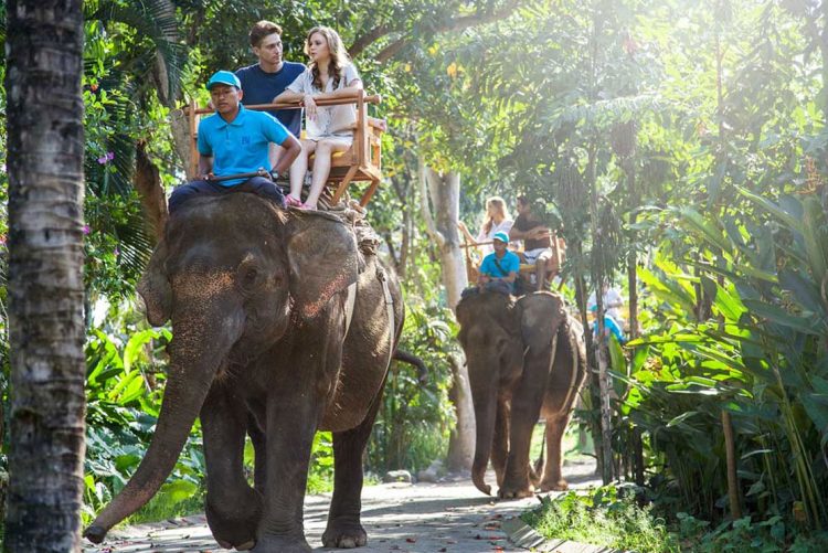 aktivitas seru di bali zoo park, atraksi bali zoo park, bali zoo park, bali zoo park gianyar, fasilitas bali zoo park, foto bali zoo park, harga tiket bali zoo park, harga tiket masuk bali zoo park, tiket bali zoo park, wahana bali zoo park, bali zoo park: atraksi seru, wahana, koleksi hewan, harga tiket, dll
