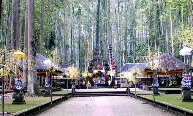ide itinerary ubud, itinerary di ubud, itinerary ubud, itinerary ubud 3 hari, itinerary ubud 3h3m, ω rekomendasi ide itinerary ubud 3 hari terbaik, liburan seru jadi maksimal