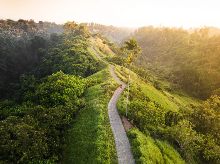 ide itinerary ubud, itinerary di ubud, itinerary ubud, itinerary ubud 3 hari, itinerary ubud 3h3m, ω rekomendasi ide itinerary ubud 3 hari terbaik, liburan seru jadi maksimal