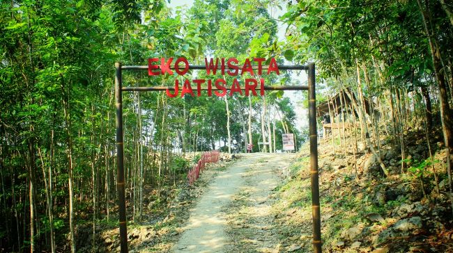 Ekowisata Jatisari Dlingo: Harga Tiket, Fasilitas, Daya Tarik, Aktivitas Dll