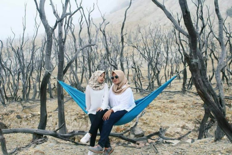 gunung papandayan, harga tiket, fasilitas, daya tarik, aktivitas seru!