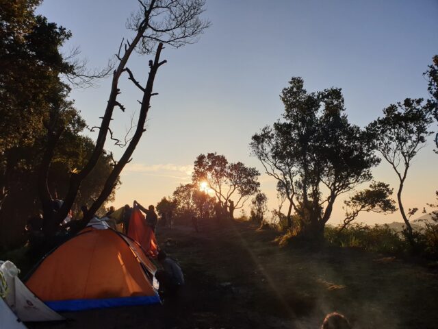 gunung papandayan, harga tiket, fasilitas, daya tarik, aktivitas seru!