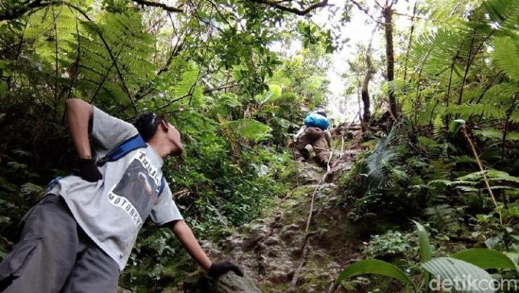 Gunung Salak: Tiket Masuk, Jalur Pendakian, Mitos & Pantangan Selama Mendaki!