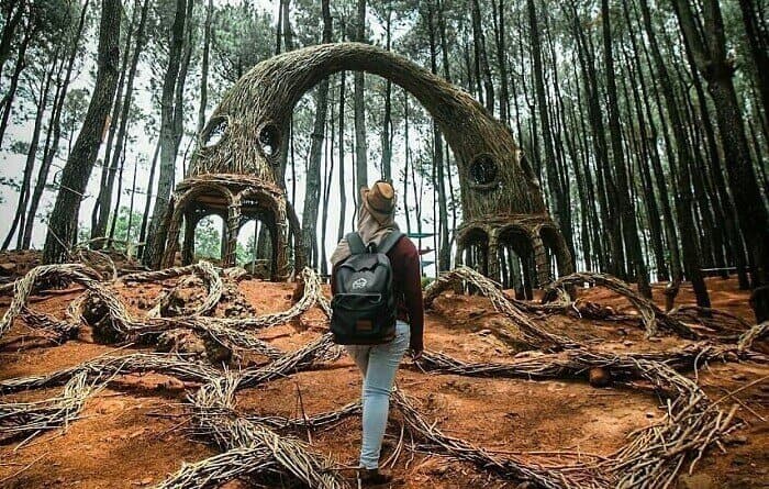 fasilitas hutan pinus pengger, harga tiket masuk hutan pinus pengger, hutan pinus pengger bantul, hutan pinus pengger jogja, hutan pinus pengger keindahan pinus pengger, pinus pengger, pinus pengger malam hari, spot foto hutan pinus pengger, tiket hutan pinus pengger, wisata hutan pinus pengger, hutan pinus pengger: harga tiket, daya tarik, spot instagramable dll!