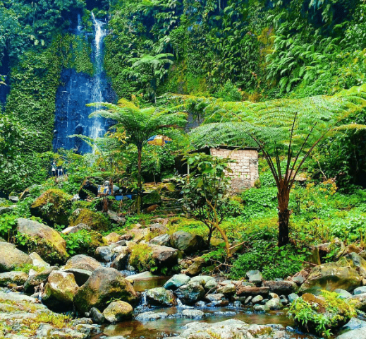 air terjun di bogor, alamat curug nangka, curug di bogor, curug nangka, gambar curug nangka, harga tiket masuk curug nangka, keindahan curug nangka, liburan ke curug nangka, lokasi curug nangka, pemandian curug nangka, rute curug nangka, rute menuju lokasi curug nangka, tempat wisata air terjun di bogor, wisata alam curug nangka, wisata curug nangka objek wisata alam curug nangka, objek wisata curug nangka bogor nan seru untuk liburan