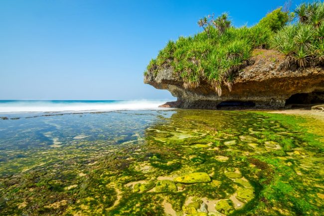 Pantai Krakal Gunung Kidul: Harga Tiket, Daya Tarik, Aktivitas Seru