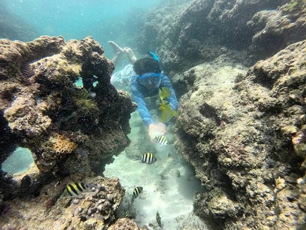fasilitas pantai wedi ombo, harga tiket pantai wedi ombo, kuliner di pantai wedi ombo, lokasi pantai wedi ombo, lokasi pantai wediombo, pantai wedi ombo, pantai wediombo, penginapan di pantai wedi ombo, tiket masuk pantai wediombo, tiket pantai wedi ombo, wediombo, wisata pantai wedi ombo, pantai wedi ombo gunungkidul: harga tiket, daya tarik, aktivitas seru dll