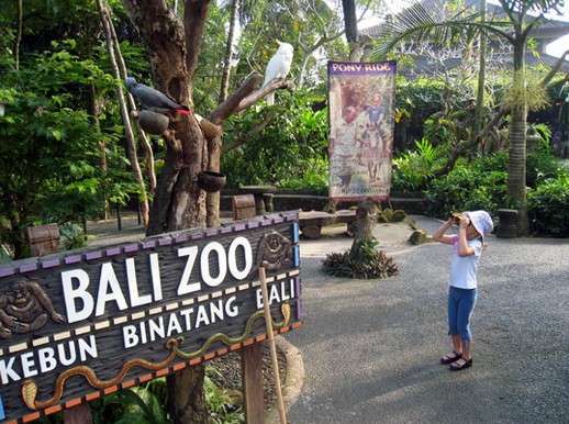 cara nawar pasar sukawati, harga barang di pasar sukawati, jam buka pasar sukawati, pasar seni sukawati, pasar sukawati, pasar sukawati gianyar, rute menuju pasar sukawati, wisata pasar sukawati, pasar seni sukawati, tempat beli oleh-oleh, tips membeli, objek wisata di dekatnya!