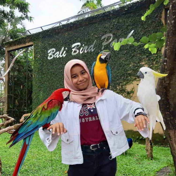 cara nawar pasar sukawati, harga barang di pasar sukawati, jam buka pasar sukawati, pasar seni sukawati, pasar sukawati, pasar sukawati gianyar, rute menuju pasar sukawati, wisata pasar sukawati, pasar seni sukawati, tempat beli oleh-oleh, tips membeli, objek wisata di dekatnya!