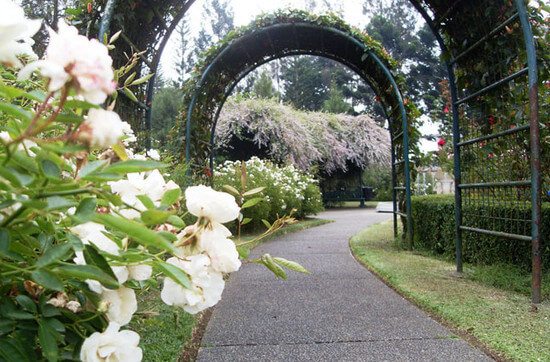 harga tiket masuk taman bunga nusantara, htm taman bunga nusantara, lokasi taman bunga nusantara, penginapan di taman bunga nusantara, rute taman bunga nusantara, taman bunga nusantara, wahana di taman bunga nusantara, taman bunga nusantara cianjur, harga tiket, daya tarik, aktivitas seru dll