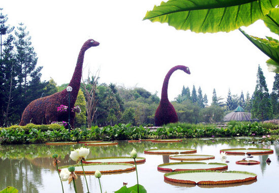 harga tiket masuk taman bunga nusantara, htm taman bunga nusantara, lokasi taman bunga nusantara, penginapan di taman bunga nusantara, rute taman bunga nusantara, taman bunga nusantara, wahana di taman bunga nusantara, taman bunga nusantara cianjur, harga tiket, daya tarik, aktivitas seru dll