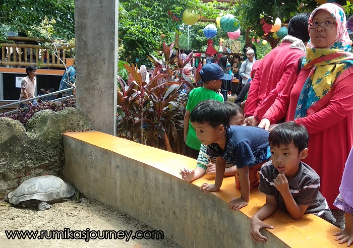 bermain di taman herbal insani, fasilitas taman herbal insani, harga tiket masuk taman herbal insani, letak taman herbal insani, lokasi taman herbal insani, taman herbal insani, taman herbal insani depok, tiket masuk taman herbal insani, wahana taman herbal insani, wisata taman herbal insani, taman herbal insani: harga tiket, wahana, fasilitas, daya tarik dll