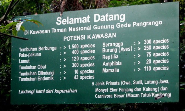 gunung gede, gunung pangrango, taman nasional gunung gede pangrango, wisata gunung gede, wisata gunung pangrango, taman nasional gunung gede pangrango yang eksotis abis!