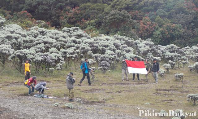 gunung gede, gunung pangrango, taman nasional gunung gede pangrango, wisata gunung gede, wisata gunung pangrango, taman nasional gunung gede pangrango yang eksotis abis!