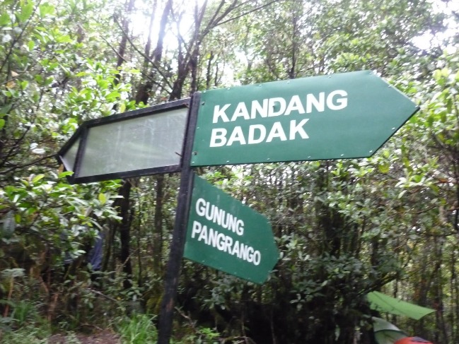 gunung gede, gunung pangrango, taman nasional gunung gede pangrango, wisata gunung gede, wisata gunung pangrango, taman nasional gunung gede pangrango yang eksotis abis!