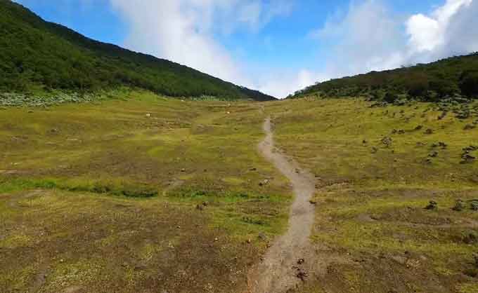 gunung gede, gunung pangrango, taman nasional gunung gede pangrango, wisata gunung gede, wisata gunung pangrango, taman nasional gunung gede pangrango yang eksotis abis!
