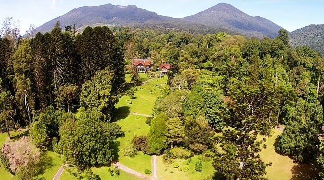 gunung gede, gunung pangrango, taman nasional gunung gede pangrango, wisata gunung gede, wisata gunung pangrango, taman nasional gunung gede pangrango yang eksotis abis!
