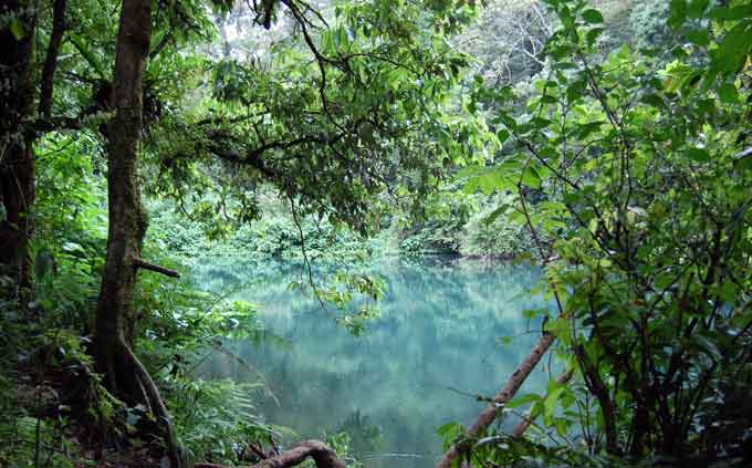 gunung gede, gunung pangrango, taman nasional gunung gede pangrango, wisata gunung gede, wisata gunung pangrango, taman nasional gunung gede pangrango yang eksotis abis!
