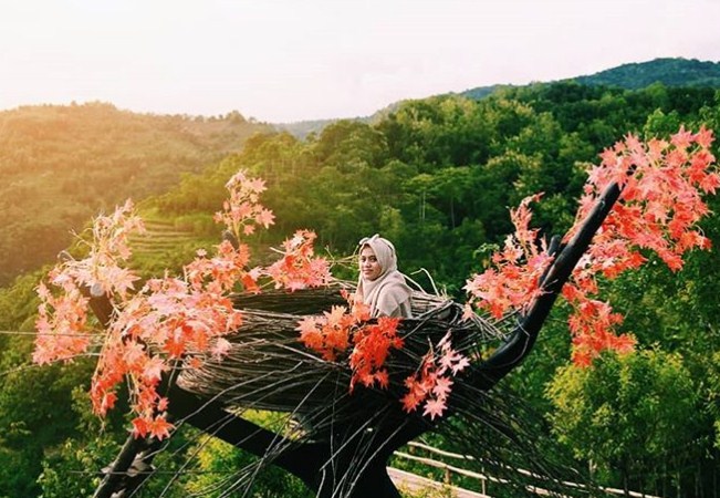 bukit mojo gumelem, bukit mojo gumelem bantul, fasilitas bukit mojo gumelem, foto bukit mojo gumelem, keindahan bukit mojo gumelem, lokasi bukit mojo gumelem, rute menuju lokasi bukit mojo gumelem, wahana bukit mojo gumelem, top 10+ foto bukit mojo gumelem: harga tiket, fasilitas, daya tarik, wahana dll