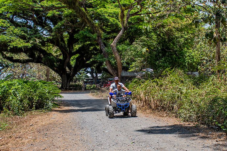 daya tarik de djawatan, de djawatan, de djawatan banyuwangi, hutan de djawatan, hutan wisata de djawatan, wisata de djawatan, top 10+ foto de djawatan “the lords of the rings”: harga tiket, wahana seru dll