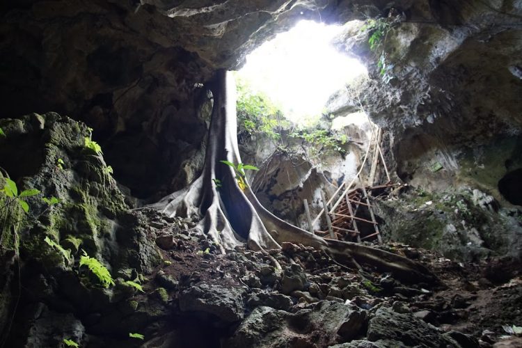 fasilitas goa gajah, goa gajah, goa gajah bantul, goa gajah jogja, harga tiket masuk goa gajah, keindahan goa gajah, lokasi goa gajah, rute goa gajah, rute menuju lokasi goa gajah, tiket masuk goa gajah, wisata goa gajah, top 10+ foto goa gajah bantul: harga tiket, daya tarik, aktivitas seru, catatan!