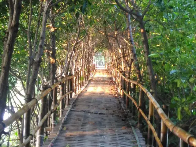 aktivitas di hutan mangrove pandansari, fasilitas hutan mangrove pandansari, harga tiket hutan mangrove pandansari, hutan mangrove pandansari, hutan mangrove pandansari brebes, kegiatan seru hutan mangrove pandansari, spot foto hutan mangrove pandansari, tiket hutan mangrove pandansari, top 10+ foto hutan mangrove pandansari: harga tiket, aktivitas, instagramable