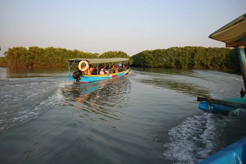 aktivitas di hutan mangrove pandansari, fasilitas hutan mangrove pandansari, harga tiket hutan mangrove pandansari, hutan mangrove pandansari, hutan mangrove pandansari brebes, kegiatan seru hutan mangrove pandansari, spot foto hutan mangrove pandansari, tiket hutan mangrove pandansari, top 10+ foto hutan mangrove pandansari: harga tiket, aktivitas, instagramable