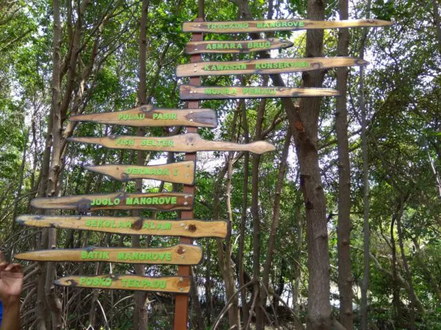 Top 10+ Foto Hutan Mangrove Pandansari: Harga Tiket, Aktivitas, Instagramable