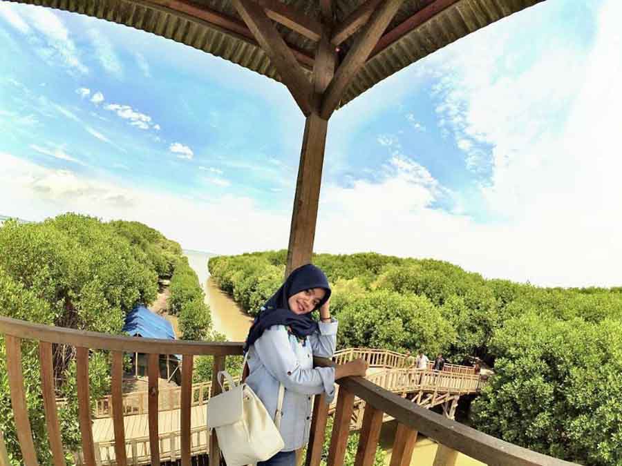 aktivitas di hutan mangrove pandansari, fasilitas hutan mangrove pandansari, harga tiket hutan mangrove pandansari, hutan mangrove pandansari, hutan mangrove pandansari brebes, kegiatan seru hutan mangrove pandansari, spot foto hutan mangrove pandansari, tiket hutan mangrove pandansari, top 10+ foto hutan mangrove pandansari: harga tiket, aktivitas, instagramable