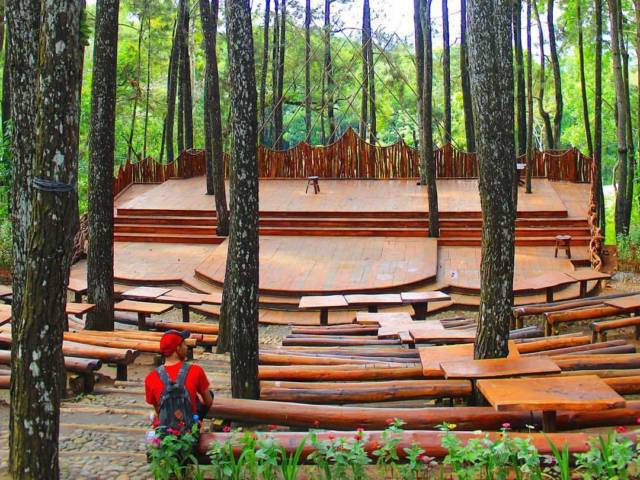 fasilitas hutan pinus dlingo, hutan pinus dling, keindahan hutan pinus dlingo hutan pinus dlingo bantul, lokasi hutan pinus dlingo harga tiket masuk hutan pinus dlingo, tiket masuk hutan pinus dlingo, wisata hutan pinus dlingo, top 10+ foto hutan pinus dlingo, harga tiket, daya tarik, aktivitas seru dll