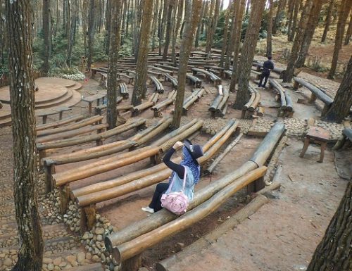 fasilitas hutan pinus dlingo, hutan pinus dling, keindahan hutan pinus dlingo hutan pinus dlingo bantul, lokasi hutan pinus dlingo harga tiket masuk hutan pinus dlingo, tiket masuk hutan pinus dlingo, wisata hutan pinus dlingo, top 10+ foto hutan pinus dlingo, harga tiket, daya tarik, aktivitas seru dll