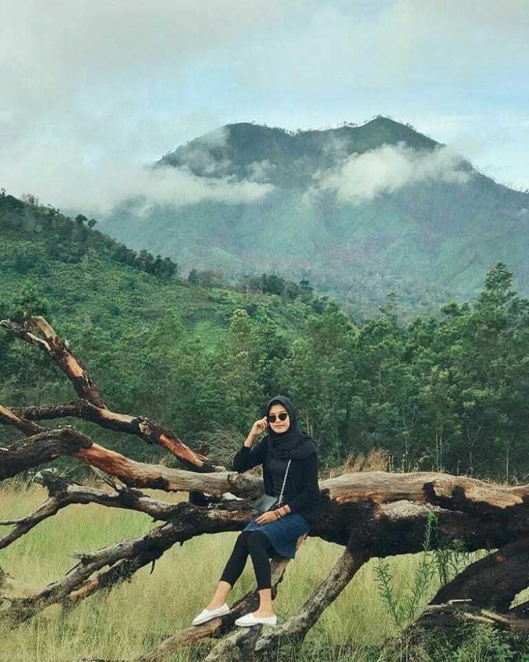 aktivitas di kawah wurung, aktivitas seru di kawah wurung, fasilitas kawah wurung, hara tiket kawah wurung, kawah wurung, kawah wurung bondowoso, lokasi kawah wurung, objek wisata kawah wurung, tiket kawah wurung, tiket masuk kawah wurung, wisata alam kawah wurung, wisata kawah wurung, top 10+ foto kawah wurung bondowoso: harga tiket, fasilitas, aktivitas seru dll