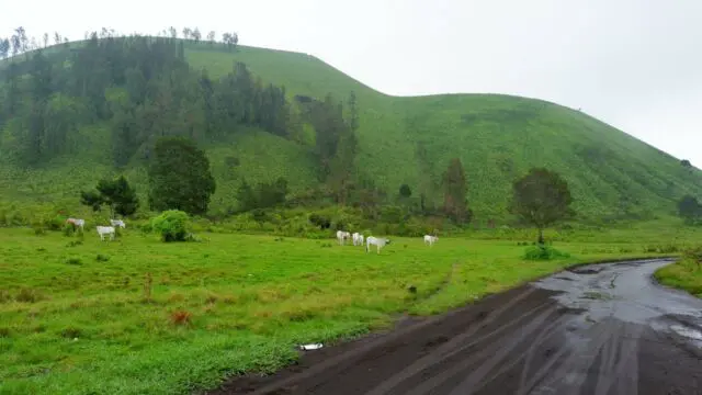 aktivitas di kawah wurung, aktivitas seru di kawah wurung, fasilitas kawah wurung, hara tiket kawah wurung, kawah wurung, kawah wurung bondowoso, lokasi kawah wurung, objek wisata kawah wurung, tiket kawah wurung, tiket masuk kawah wurung, wisata alam kawah wurung, wisata kawah wurung, top 10+ foto kawah wurung bondowoso: harga tiket, fasilitas, aktivitas seru dll
