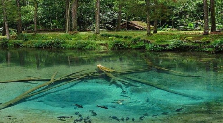 Top 10+ Foto Telaga Rambut Monte Blitar: Harga Tiket, Daya Tarik, Bak Kristal!