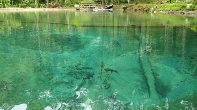 harga tiket masuk telaga rambut monte, keunikan telaga rambut monte, lokasi telaga rambut monte, objek wisata telaga rambut monte, pesona telaga rambut monte, telaga rambut monte, telaga rambut monte blitar, tiket telaga rambut monte, wisata telaga rambut monte, top 10+ foto telaga rambut monte blitar: harga tiket, daya tarik, bak kristal!