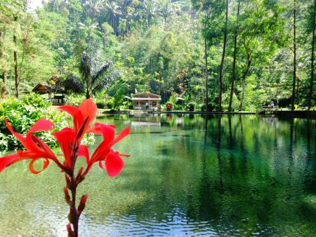 harga tiket masuk telaga rambut monte, keunikan telaga rambut monte, lokasi telaga rambut monte, objek wisata telaga rambut monte, pesona telaga rambut monte, telaga rambut monte, telaga rambut monte blitar, tiket telaga rambut monte, wisata telaga rambut monte, top 10+ foto telaga rambut monte blitar: harga tiket, daya tarik, bak kristal!