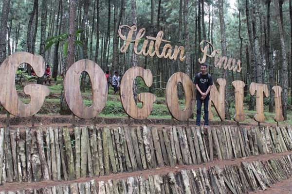 daya tarik hutan pinus gogoniti, fasilitas hutan pinus gogoniti, harga tiket hutan pinus gogoniti, hutan pinus gogoniti, kegiatan seru di hutan pinus gogoniti, wahana hutan pinus gogoniti, wisata hutan pinus gogoniti, top 10+ foto wisata hutan pinus gogoniti: harga tiket, wahana instagramable
