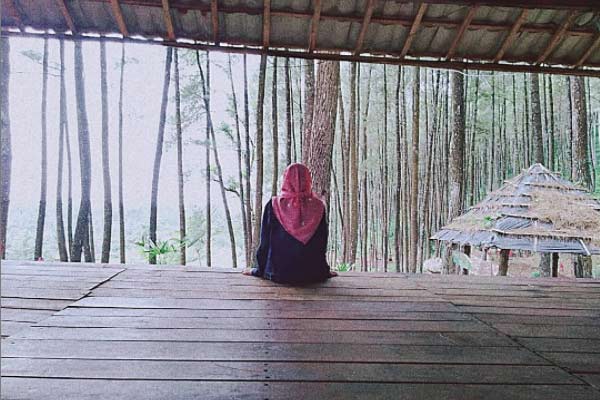 daya tarik hutan pinus gogoniti, fasilitas hutan pinus gogoniti, harga tiket hutan pinus gogoniti, hutan pinus gogoniti, kegiatan seru di hutan pinus gogoniti, wahana hutan pinus gogoniti, wisata hutan pinus gogoniti, top 10+ foto wisata hutan pinus gogoniti: harga tiket, wahana instagramable