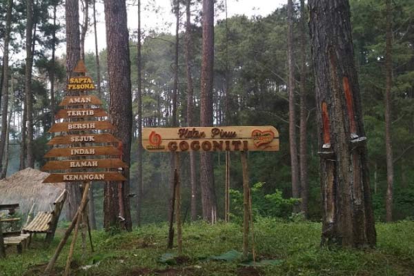 daya tarik hutan pinus gogoniti, fasilitas hutan pinus gogoniti, harga tiket hutan pinus gogoniti, hutan pinus gogoniti, kegiatan seru di hutan pinus gogoniti, wahana hutan pinus gogoniti, wisata hutan pinus gogoniti, top 10+ foto wisata hutan pinus gogoniti: harga tiket, wahana instagramable