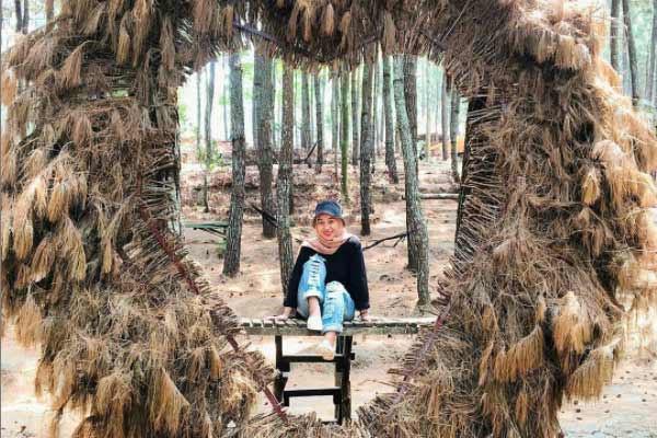 daya tarik hutan pinus gogoniti, fasilitas hutan pinus gogoniti, harga tiket hutan pinus gogoniti, hutan pinus gogoniti, kegiatan seru di hutan pinus gogoniti, wahana hutan pinus gogoniti, wisata hutan pinus gogoniti, top 10+ foto wisata hutan pinus gogoniti: harga tiket, wahana instagramable