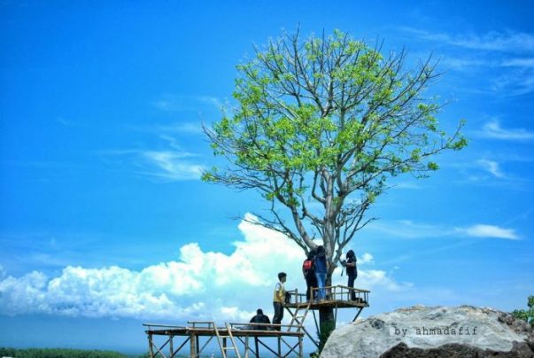 air terjun seweru, tempat rekreasi alam di madiun, tempat wisata alam di madiun, tempat wisata di madiun, wisata alam madiun, wisata madiun, wisata terbaru di madiun, top 10+ objek wisata alam madiun terbaik & paling hits sepanjang masa!