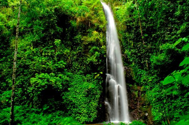 air terjun seweru, tempat rekreasi alam di madiun, tempat wisata alam di madiun, tempat wisata di madiun, wisata alam madiun, wisata madiun, wisata terbaru di madiun, top 10+ objek wisata alam madiun terbaik & paling hits sepanjang masa!