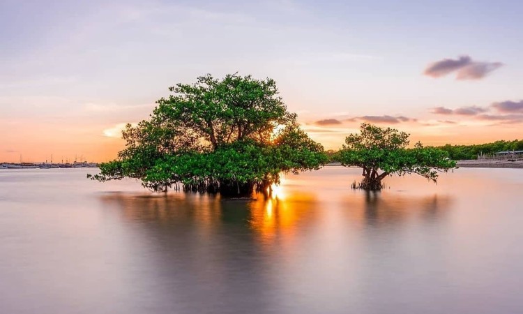 Top 12+ Pantai di Gresik Terbaik & Paling Hits yang Wajib Dikunjungi saat Liburan