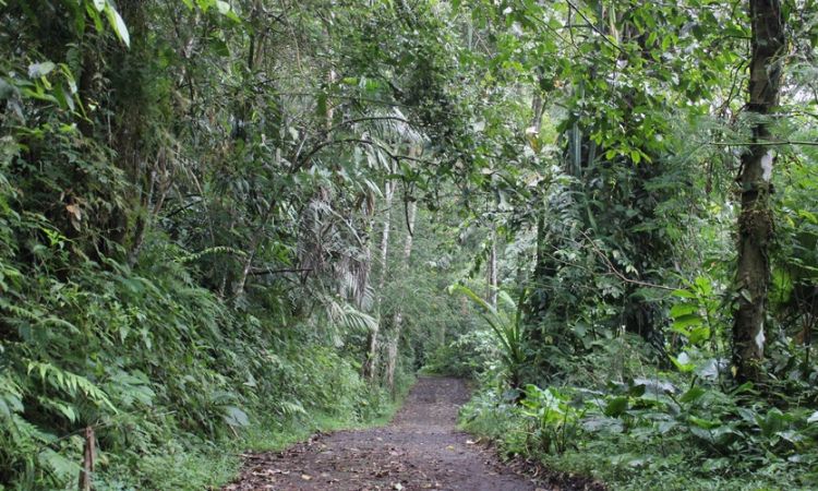 destinasi di poso, objek wisata di poso, tempat rekreasi di poso, tempat wisata di poso, tujuan rekreasi di poso, wisata di poso, top 12+ tempat wisata di poso terbaik & paling hits yang wajib dikunjungi