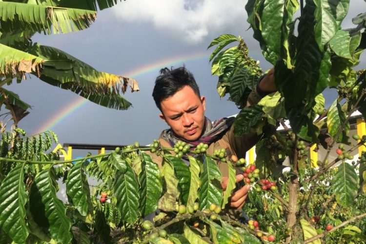 destinasi di poso, objek wisata di poso, tempat rekreasi di poso, tempat wisata di poso, tujuan rekreasi di poso, wisata di poso, top 12+ tempat wisata di poso terbaik & paling hits yang wajib dikunjungi