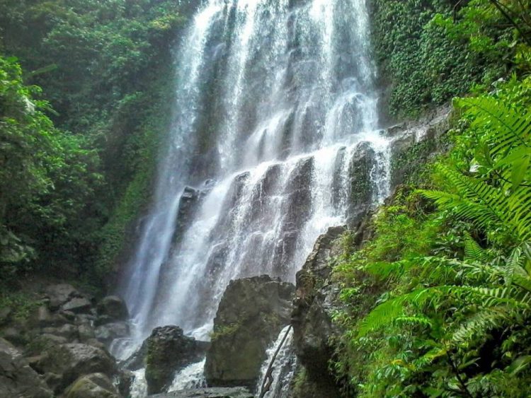 air terjun di cilacap, air terjun terbaik di cilacap, curug di cilacap, curug di cilacap terbaik, curug di terbaik cilacap, wisata alam di cilacap, wisata curug di cilacap, top 14+ curug di cilacap jawa tengah terhits & terbaik, air terjun paling indah
