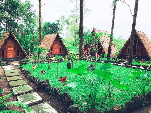 hotel di kintamani, hotel di kintamani dengan kolam renang hotel di kintamani, hotel di kintamani dengan private pool, hotel mewah di kintamani, hotel murah di kintamani, hotel terbaik di kintamani, top 14+ hotel di kintamani mewah, murah, view indah danau & gunung!