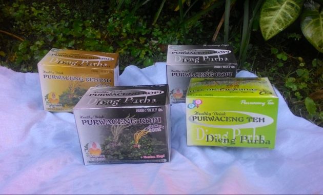 cemilan khas banjarnegara, jajanan khas banjarnegara, khas banjarnegara, makanan khas banjarnegara, oleh-oleh khas banjarnegara, top 15+ oleh-oleh khas banjarnegara yang wajib dibeli, makanan & souvenir