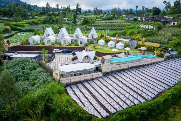 glamping di kintamani, glamping mewah di kintamani, tempat glamping di kintamani, tempat glamping mewah di kintamani, tempat glamping murah di kintamani, tempat glamping terbaik di kintamani, tempat glamping terbaru di kintamani, top 16+ tempat glamping di kintamani terbaik & seru, mewah, murah, lengkap!