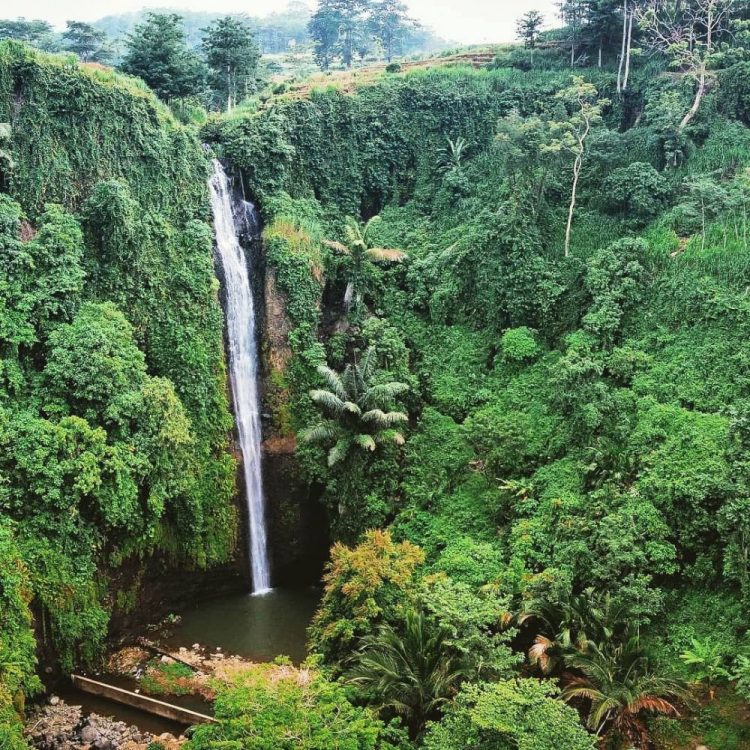 air terjun di jepara, air terjun jepara, air terjun sumenep, air terjun terbaik di jepara, curug di jepara, kedung di jepara, wisata air terjun di jepara, wisata alam di jepara, top 18+ air terjun di jepara terhits & terbaik, rute lokasi, alamat, harga tiket!